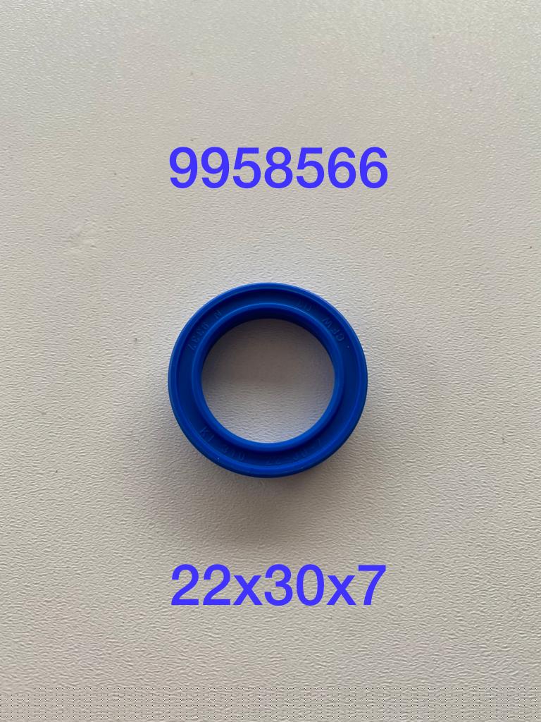ORİNGHİD.DİREKSİYON PİST